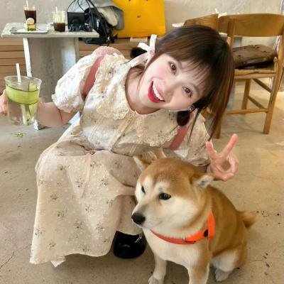 日心说